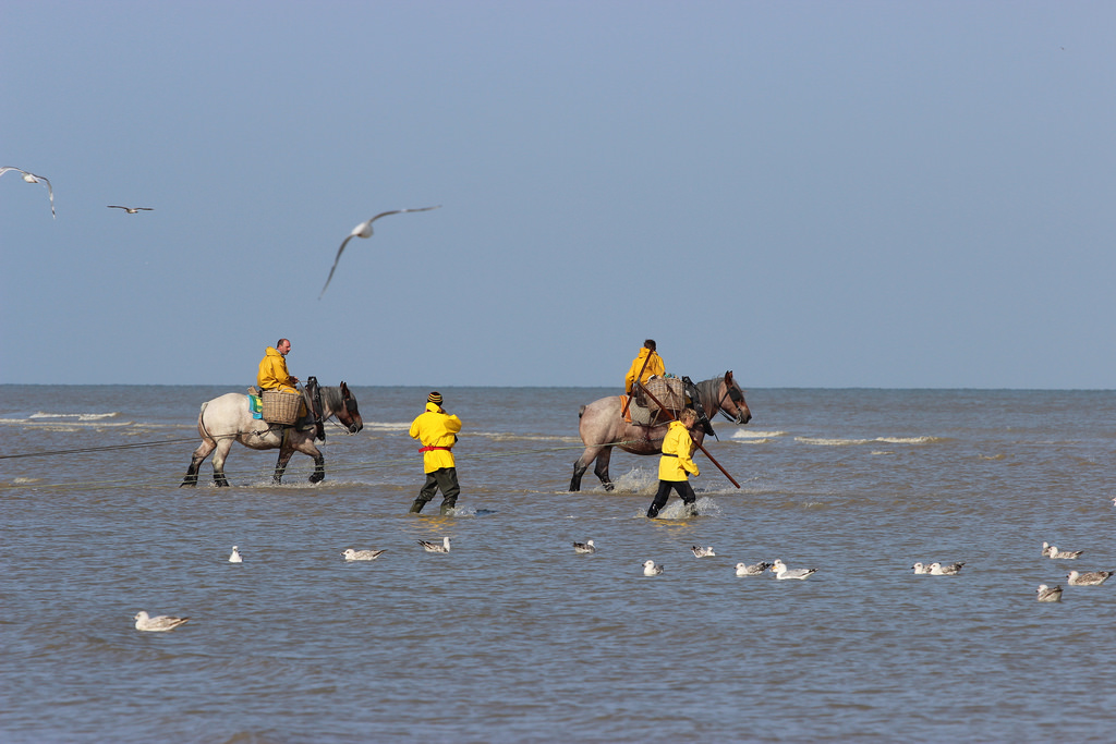 Oostduinkerke